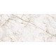 Керамогранит NT CERAMIC Riverstone Cuarzo Gold Digital Satin 60x120