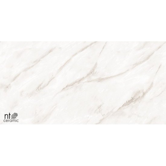 Керамогранит NT CERAMIC Marmo Empire Pearl Endless 60x120