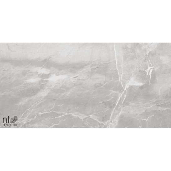 Керамогранит NT CERAMIC Quanta Grey Slate Grey 60x120