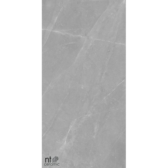 Керамогранит NT CERAMIC Granite Limestone Grey Structura 60x120