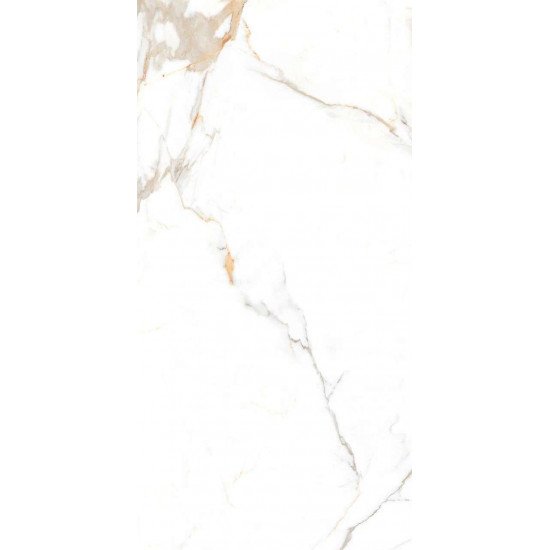 Керамогранит Belleza Austrain natural (glossy) 60x120