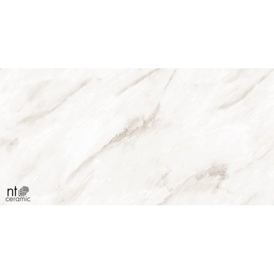 Керамогранит NT CERAMIC Marmo Empire Pearl Endless 60x120
