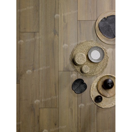 Homflor Могучий Дуб Горный Strong Colorado Oak 562 Homflor Могучий Дуб Горный Strong Colorado Oak 562