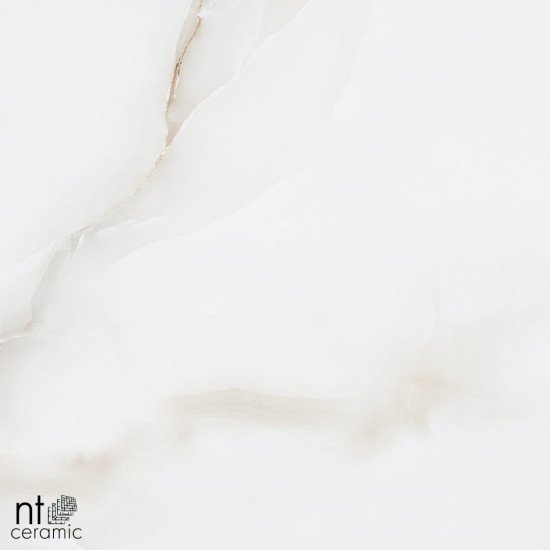 Керамогранит NT CERAMIC Onyx Majestic 60x60