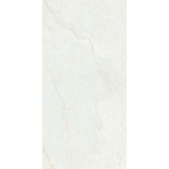 Керамогранит Belleza Rc roman oro 2p gv (feather touch) 60x120