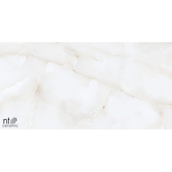 Керамогранит NT CERAMIC Onyx Majestic 60x60