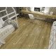 Alpine Floor Бук ECO 141-88 MC