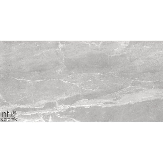 Керамогранит NT CERAMIC Quanta Grey Slate Grey 60x120