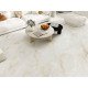 Керамогранит Global Tile Первоцвет / Bloom GT1206020902SSDGR Бежевый 60x120