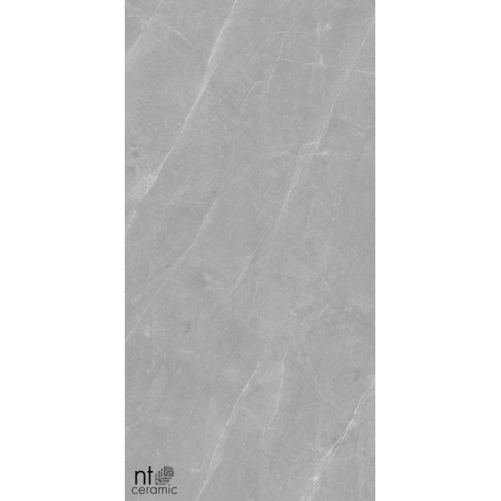 Керамогранит NT CERAMIC Granite Limestone Grey Structura 60x120