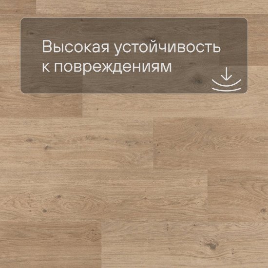 ПВХ плитка QS Second choice Alpha BLOS SPE40321 - AVSPU 40321 Дуб береговой бежевый 1251хх5.0 мм
