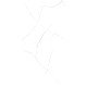 Керамогранит Belleza Eden statuario (authentic) 60x120