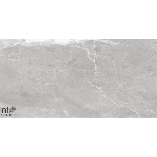Керамогранит NT CERAMIC Quanta Grey Slate Grey 60x120
