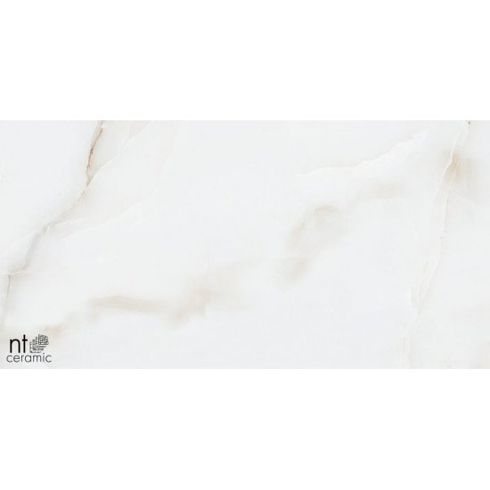Керамогранит NT CERAMIC Onyx Majestic 60x60