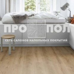 Ламинат Kaindl Natural Touch Standart Plank Дуб Evoke Trend K4421 Ламинат Kaindl Natural Touch Standart Plank Дуб Evoke Trend K4421