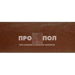 280 Защитное масло для внешних работ 10л