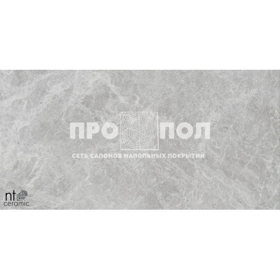 Керамогранит NT CERAMIC Bright and Shiny  NTT9118 Tundra Pearl mat