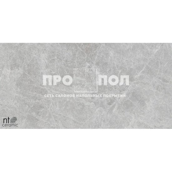 Керамогранит NT CERAMIC Bright and Shiny  NTT9118 Tundra Pearl mat
