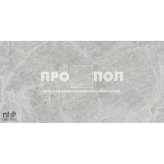 Керамогранит NT CERAMIC Bright and Shiny  NTT9118 Tundra Pearl mat