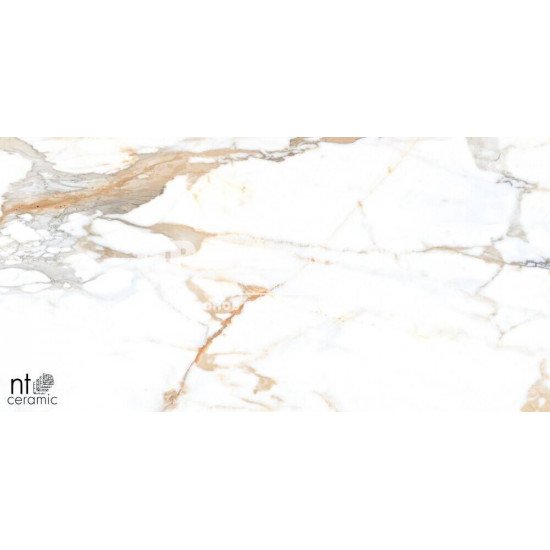 Керамогранит NT CERAMIC Marmo Camela Statuario NTT99605M