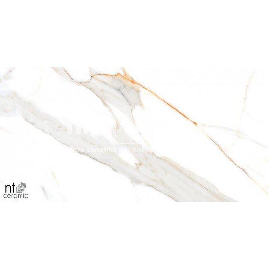 Керамогранит NT CERAMIC Marmo Miami Natural NTT99500P