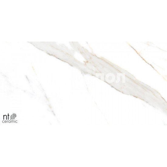 Керамогранит NT CERAMIC Marmo Miami Natural NTT99500P