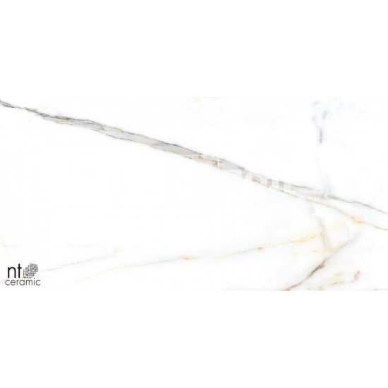 Керамогранит NT CERAMIC Marmo Miami Natural NTT99500P