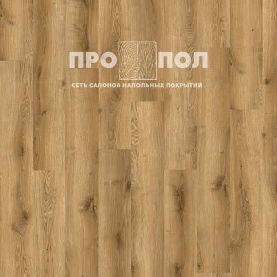 ADELAR Solida Acoustic 03826 Traditional Oak ADELAR Solida Acoustic 03826 Traditional Oak