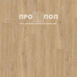 ADELAR Eterna Acoustic 05325 Sebastian Oak
