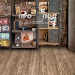 Alpine Floor Grand Sequoia ГРАНД СЕКВОЙЯ МАСЛИНА ECO 11-11 Alpine Floor Grand Sequoia ГРАНД СЕКВОЙЯ МАСЛИНА ECO 11-11