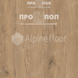 Norland Vakre Sandra 1022-4