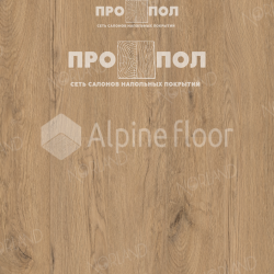 Norland Vakre Brit 1022-5